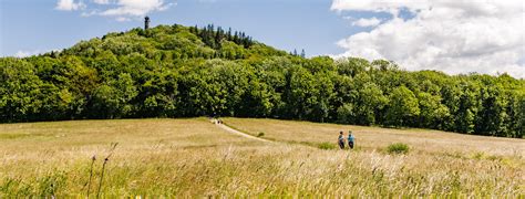 Altenberg im Erzgebirge » Urlaubsregion Altenberg erleben