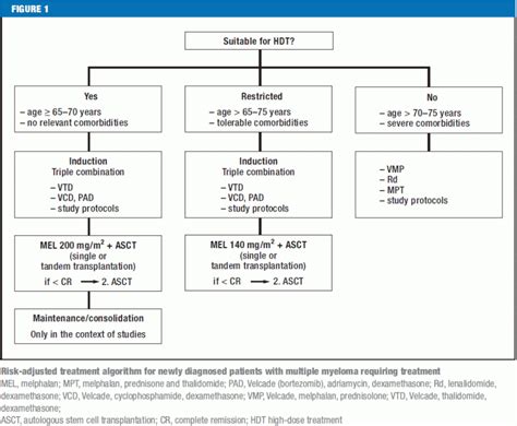 The Diagnosis And Treatment Of Multiple Myeloma 11072016