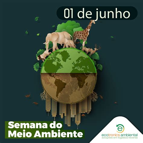 Semana Do Meio Ambiente Ecotronics Ambiental Solu Es Em Log Stica