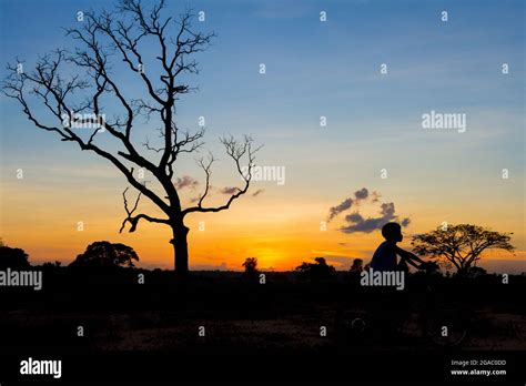 mountainbike silhouette in sunset sky background Stock Photo - Alamy