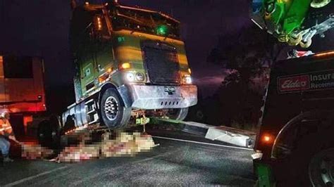 Collins Trucks Driver Ploughs Into A Flock Of Sheep In Adelaide Daily