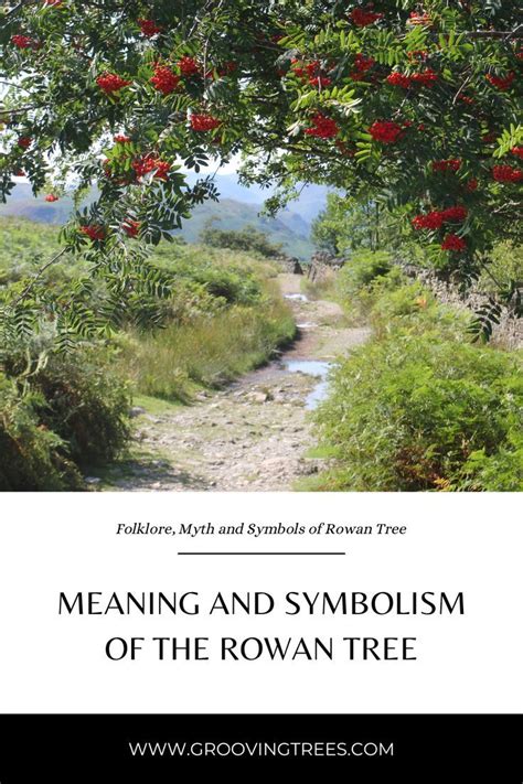 Rowan tree symbolism and meanings – Artofit