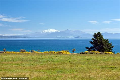 New Zealand S Taupo Volcano Responsible For Largest Eruption In 5000