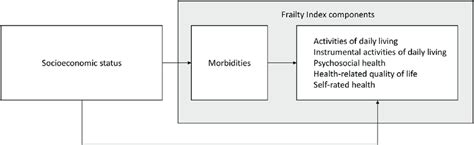 Conceptual Framework For The Association Between Socioeconomic Status