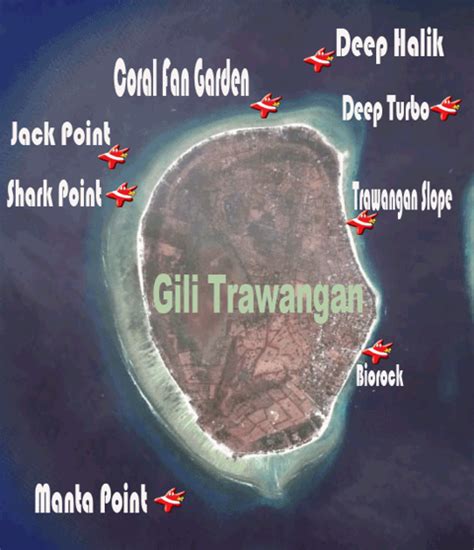 GILI AIR DIVERS - FREEDIVE GILI AIR - GILI AIR DIVERS: Diving Gili, PADI Dive Resort, PADI ...