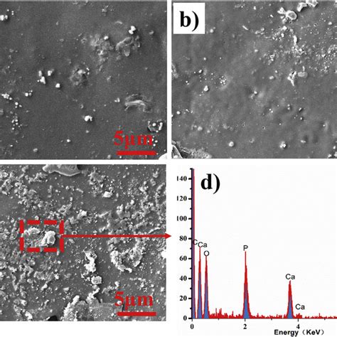 Alp Staining Images Of Mg Cells On The Plla Plla Go And