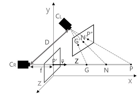 Schematic representation of stereoscopic depth perception. There are ...