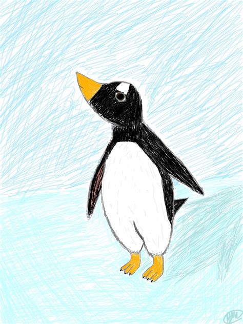 Gentoo Penguin Drawing - Penguins Fan Art (33761700) - Fanpop