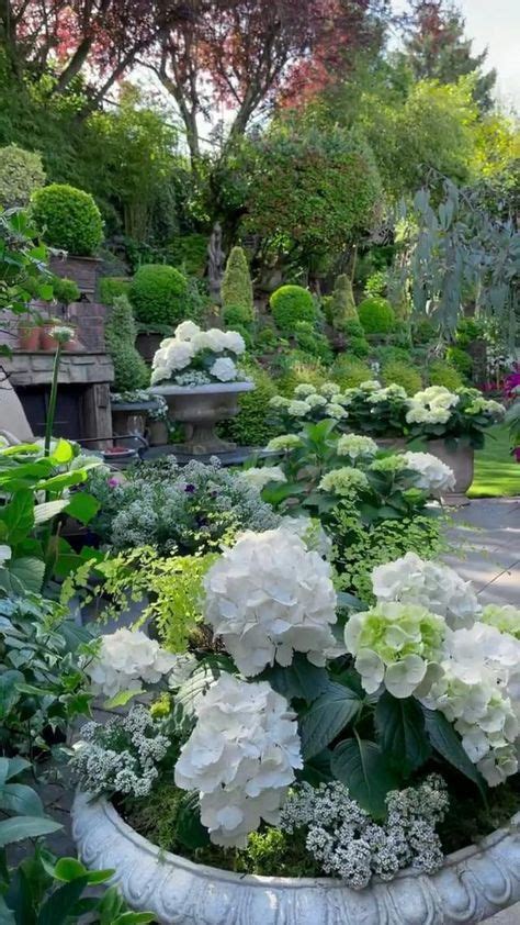 Garden Urns Garden Yard Ideas Backyard Garden Backyard Oasis