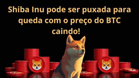 Shiba Inu Shib Pode Cair Mais Forte Queda Do Btc E Pode Buscar