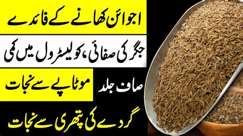 Health Benefits Of Ajwain Carom Seeds Ajwain K Fayde Urdu Hindi