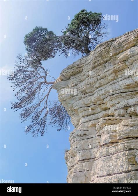 Vertical Edge Hi Res Stock Photography And Images Alamy