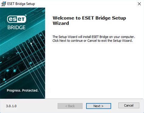 Instalación en Windows instalador independiente ESET Bridge 3