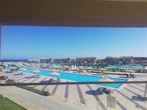 Pool Albatros Sea World Marsa Alam El Quseir Holidaycheck Marsa