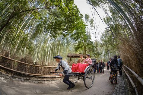 Image of Arashiyama Bamboo Forest | 1046651