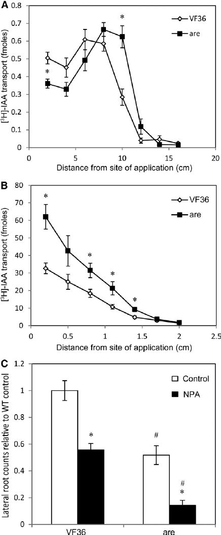 Auxin Transport And The Response To An Auxin Transport Inhibitor Are