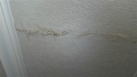Brown Stain on Ceiling? Expert Advice & Inspection Guide