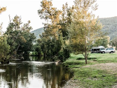 11 Best Dog-Friendly Camping Spots in NSW | Man of Many