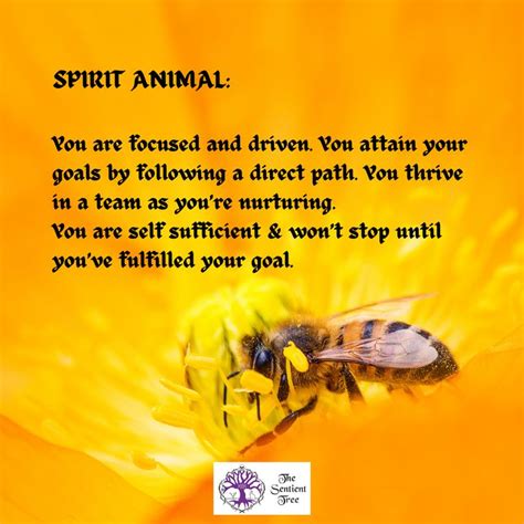 Bee Symbolism Bee Spirit Animal Animal Spirit Guides Spirit Animal