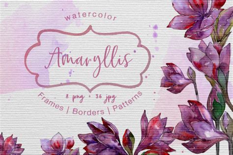 Watercolor Feather And Patterns Graphic By Mystocks Creative Fabrica