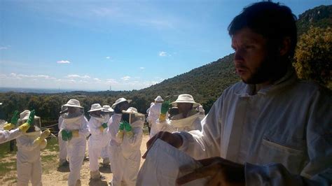 Preparando Visita Al Colmenar Did Ctico Del Aula Ap Cola Sierra De Hoyo