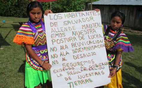 Selva Lacandona Por El Respeto A Los Derechos De La Naturaleza Y De