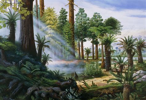 Artwork Of A Carboniferous Forest Stock Image E Science