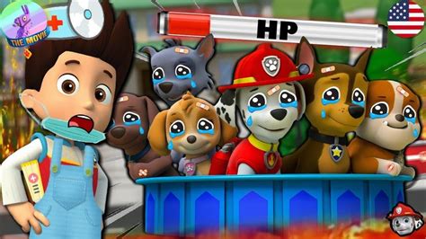 Paw Patrol 😲the Movie Funny Cartoon Animation Super Heroic Mission 24 Nick Jr Hd Super