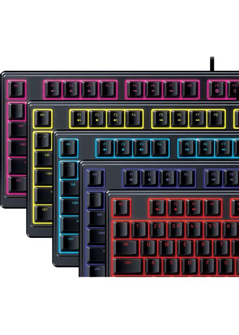 Viedpal Gs Razer Ornata V X Wired Us Layout