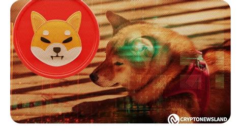 SHIBA INU PRICE 0 1 To 1 IN BULLRUN SHIBA INU BURNING RAT CryptoFida