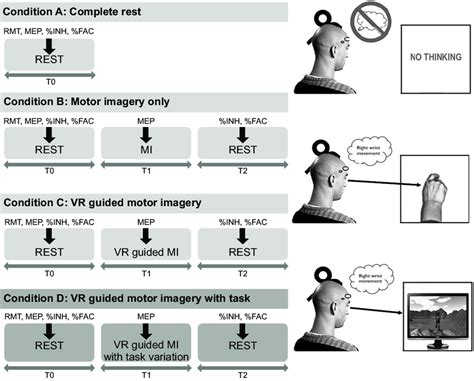 Transcranial Magnetic Stimulation Tms Was Applied Under Four