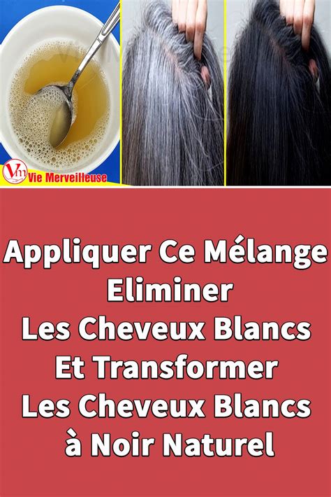 Appliquer Ce M Lange Eliminer Les Cheveux Blancs Et Transformer Les