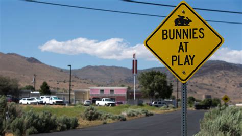 In the 2018 midterm elections, the future of the Bunny Ranch is at