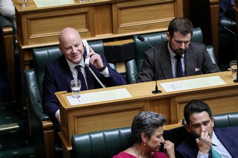 Whipping Mps For A Job What Does A Party Whip Actually Do Rnz