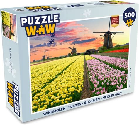 Puzzel Windmolen Tulpen Bloemen Nederland Legpuzzel Puzzel