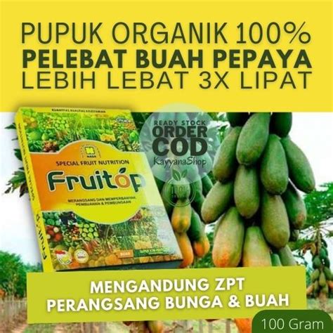 Jual Pupuk Pepaya Pupuk Pepaya Berbuah Lebat Pupuk Pepaya