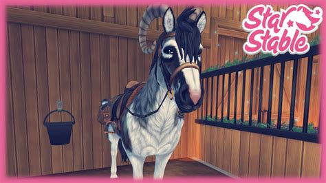 Star Stable Online Pferdekauf Heidrun YouTube