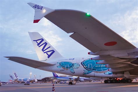 成田に3機揃った！ Anaのエアバス A380型機「flying Honu」3号機、ついに初就航。このあとハワイに向けて出発 トラベル Watch