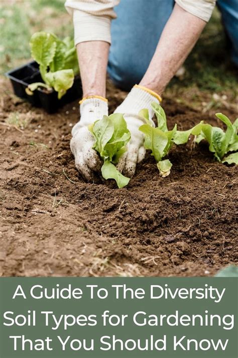 Soil Mastery: A Guide To The Types of Soil for Gardening