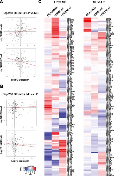 Correlation Between MiRNA Expression And Histone Methylation Patterns