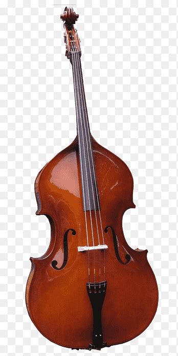 Bass Violin Violone Viola Cello Violin Double Bass Violin Png Pngegg