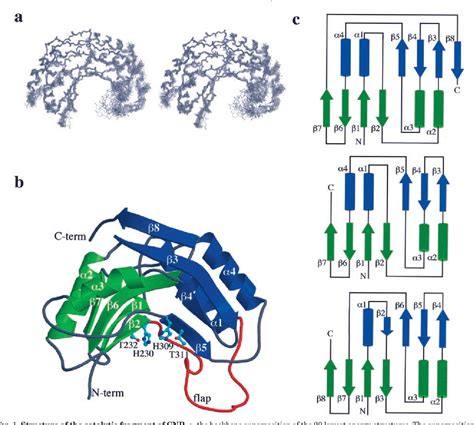 Figure 1 from Structural Evidence That Brain Cyclic Nucleotide ...