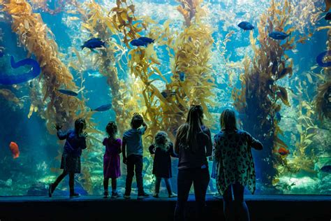 Birch Aquarium at Scripps - San Diego Museum Council