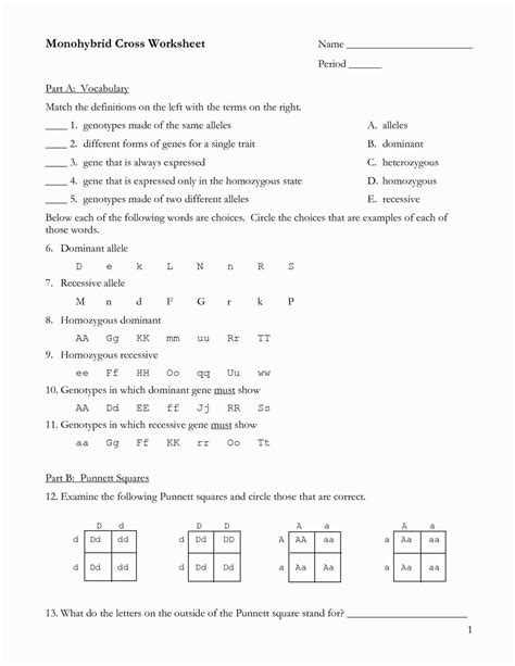 Cracking The Code Of Oompa Loompa Genetics Unveiling The Answer Key To