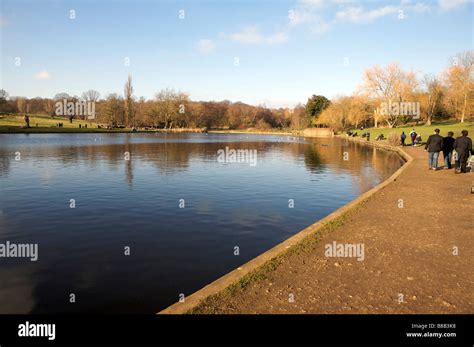 Hampstead ponds Hampstead Heath London Stock Photo - Alamy