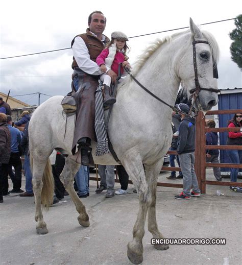 Ayuntamiento Gallegos De Arga An Galer A De Fotos Vistoso Encierro