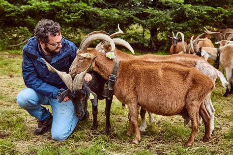 Les Coulisses De La Ferme Des Bonheurs De Sophie