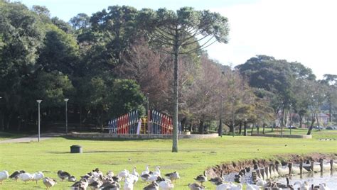 Frio Em Curitiba Bate Recorde Nesta Ter A Feira Sensa O De C