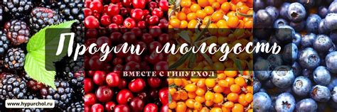Гипурхол | Гипурхол содержит урсоловую кислоту - натуральное средство ...