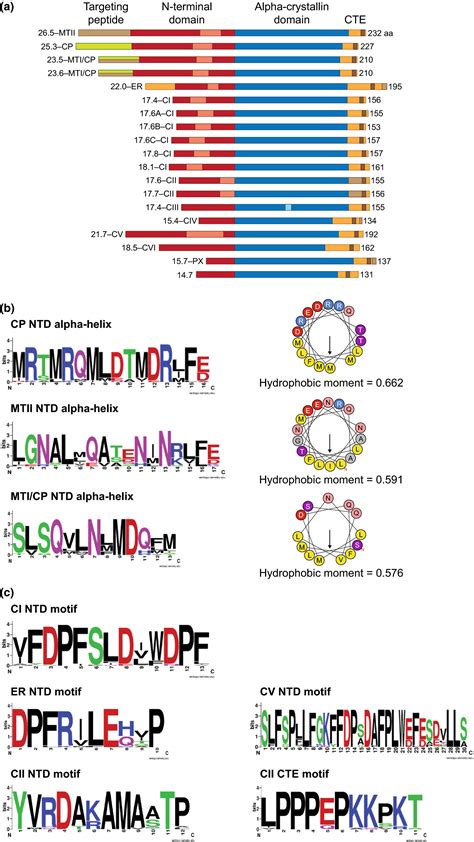 Plant Small Heat Shock Proteins Evolutionary And Functional Diversity